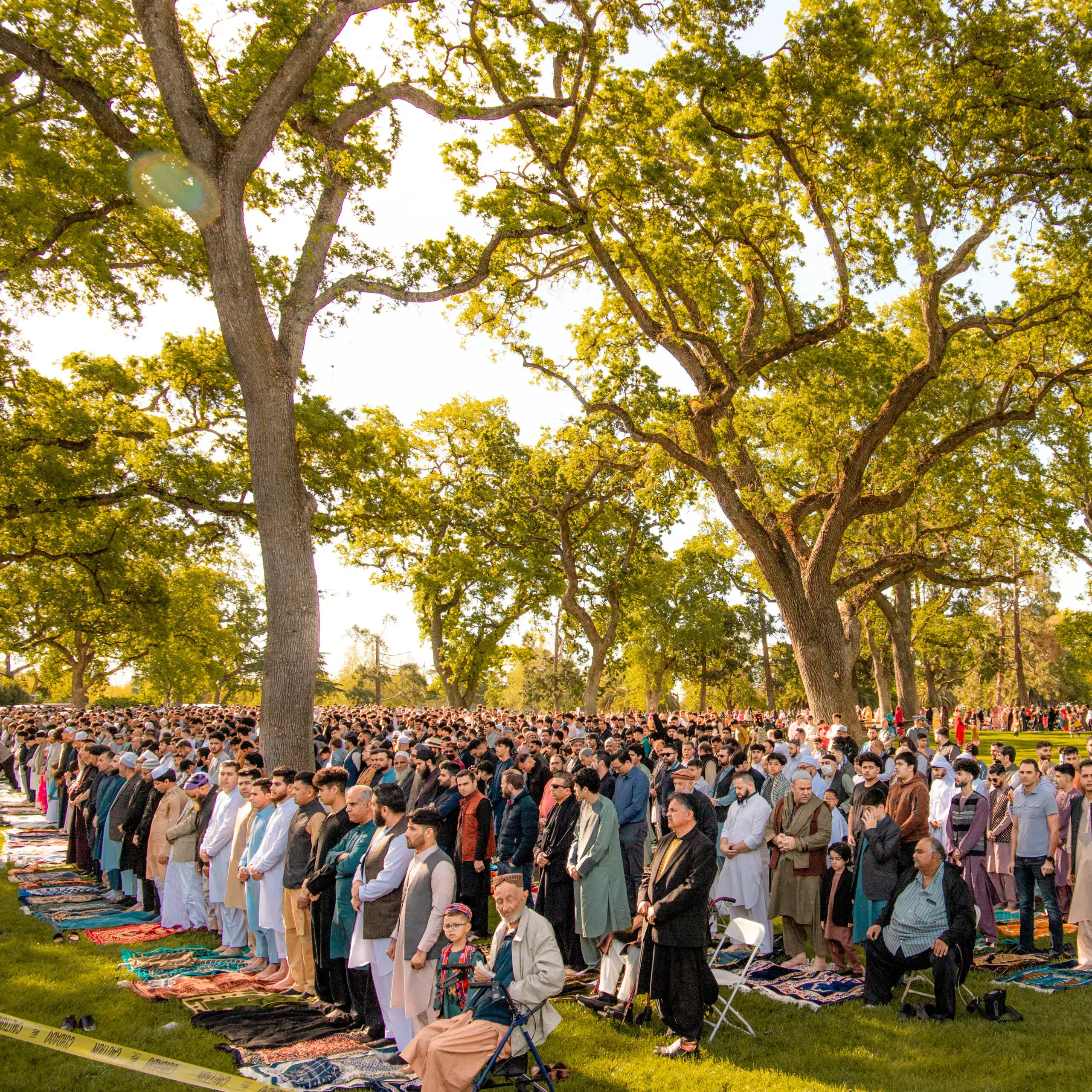 elk grove unified eid 1