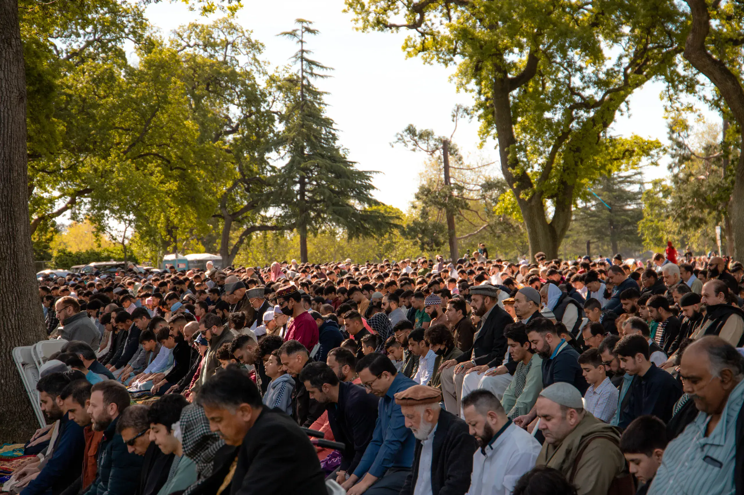 elk grove unified eid 2